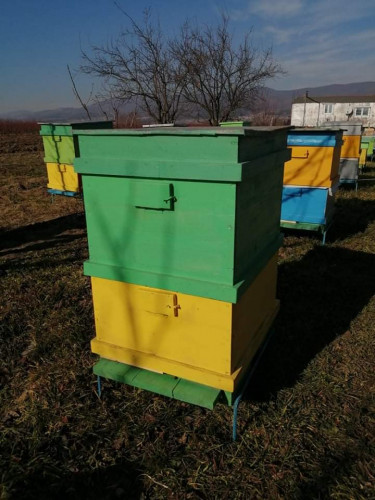 Продавам пчелни семейства,кошери,сандъци,рамки - Снимка 3