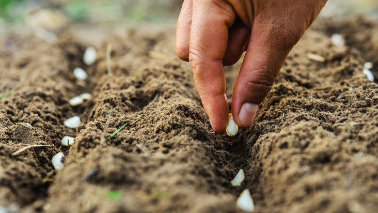 Сметки: Рентабилна ли е помощта за семена, разсад и торове?