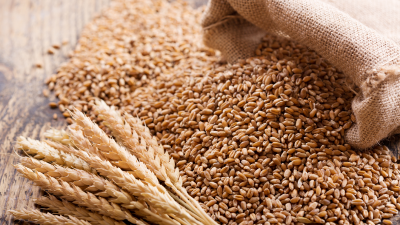 Спад в търсенето на пшеница заради високите цени