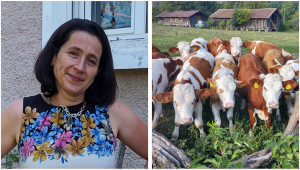 Дамите в селското стопанство: Велислава Вълчинова - Снимка 1