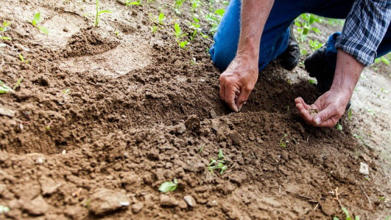 Албрехт анализ - за какви почви и кога е полезен?
