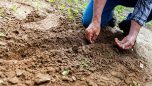 Семинар: Здрави почви чрез устойчиво управление 