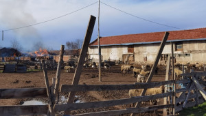 SOS: Изгоря целият фураж на семейна овцеферма - Agri.bg