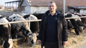 Фермерският ген: Любовта на Каракачаните към овцете води до модерна кравеферма