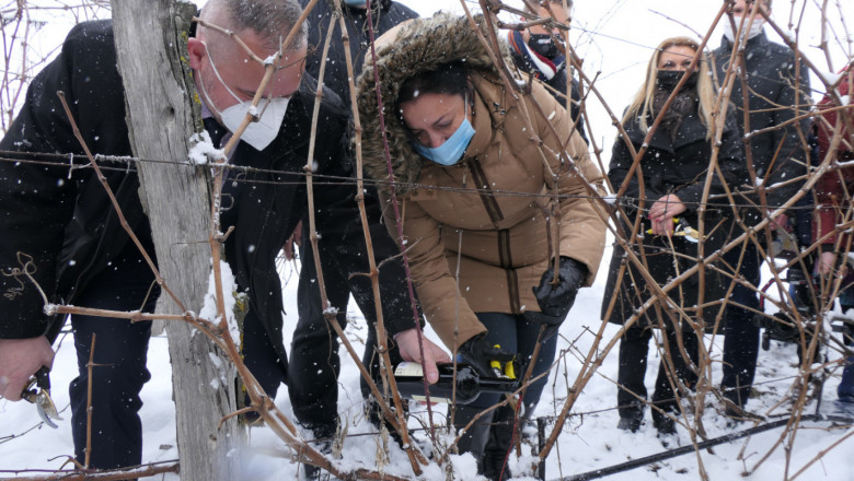 Снегът не попречи на министъра да зареже лозята