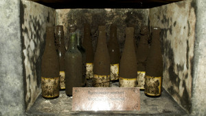 Вижте уникалната опитна винарска изба в Плевен - Снимка 3