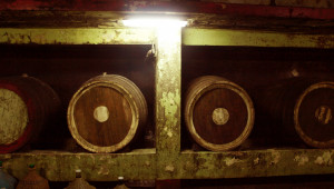 Вижте уникалната опитна винарска изба в Плевен - Снимка 5