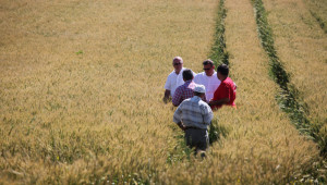 Новата ОСП: Плащат на земеделци за организиране на демонстрационни опити  - Agri.bg