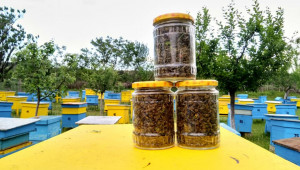 Защо агростатистиката отчита една смъртност, а пчеларите друга? - Agri.bg
