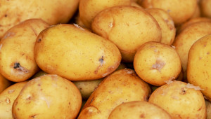 Ранно производство на картофи