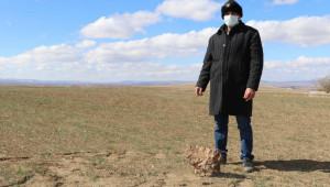Фермер продаде метеорит от нивата си за 180 000 долара