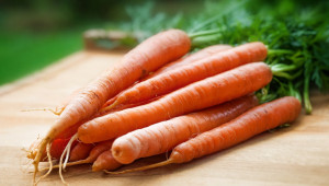 Какви са грижите за посева от моркови?