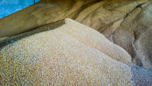 Земеделска кооперация разширява зърнобазата си
