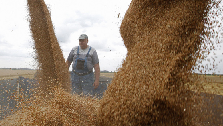 Борси: След 7-годишния пик цените на зърното се обръщат