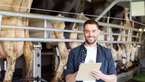 Само за професионалисти: Тайните на успешната селекция на млечни и месодайни говеда