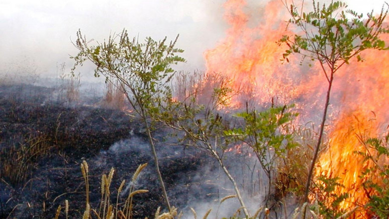 Предупреждение: Нараства опасността от пожари в земеделски ниви и гори