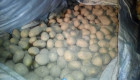 Продавам семена картофи сорт Сорая - Снимка 1
