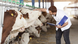 Американски светила в говедовъдството разкриват тайните на генетиката