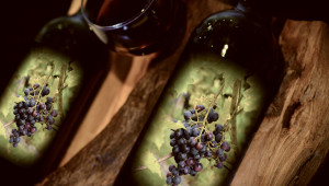 От бранша: Родното грозде е достигнало френските цени - Agri.bg