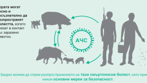 "Да спрем АЧС": Вижте изискванията към фермери и ловци - Снимка 2