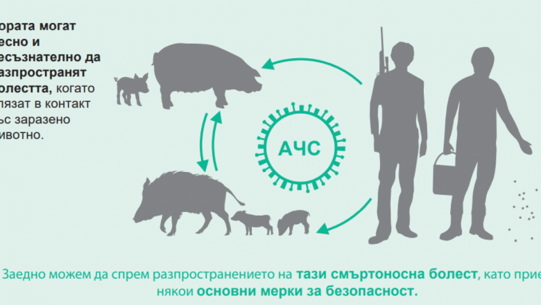 "Да спрем АЧС": Вижте изискванията към фермери и ловци