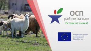 Онлайн семинар: Овцевъдство и козевъдство в преходния период на ОСП - Agri.bg