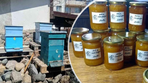 Градско семейство открива хармонията в пчелното стопанство в своя двор