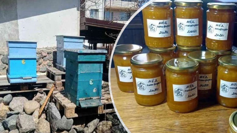 Градско семейство открива хармонията в пчелното стопанство в своя двор