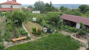 Фермери „събуждат“ стари български сортове - Снимка 2