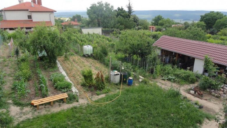 Фермери „събуждат“ стари български сортове