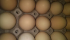 Яйца по 0.25ст. от домашна ферма - Снимка 1