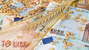 CAPA: Средните изкупни цени на зърното този сезон ще са по-ниски от предишния - Снимка 1