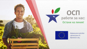 Онлайн семинар: Овощарство и зеленчукопроизводство в преходния период на ОСП - Agri.bg