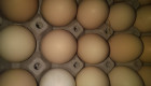 Продавам пресни яйца от местни кокошки - Снимка 1