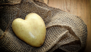 Как трябва да се торят картофите за да се получат високи добиви?