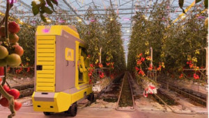Роботът GRoW - бъдещето на производството на оранжерийни домати