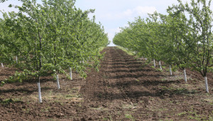 Неплододаващите градини нямат право на подпомагане по ерозия на почвата - Agri.bg
