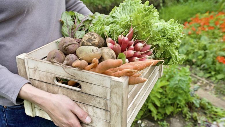 Спешен консултативен съвет по плодове и зеленчуци искат от сектора