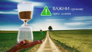 Месец юни изчиства директните плащания - Agri.bg