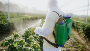 Швейцарците отхвърлиха забраната на изкуствените пестициди