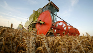 USDA прогнозира 6 млн. тона зърнена реколта за България