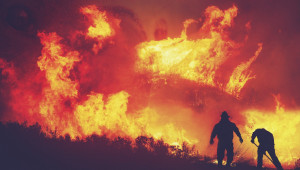 Във Видинско започна подготовката за пожароопасния стопански сезон