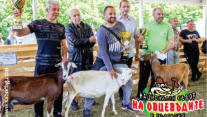 80 фермери показват свои животни на Събора на овцевъдите