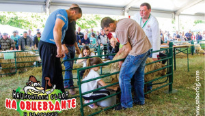 80 фермери показват свои животни на Събора на овцевъдите - Снимка 5