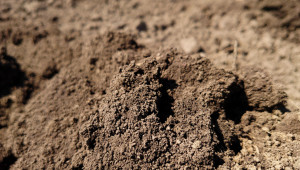 Застрашено ли е почвеното плодородие?