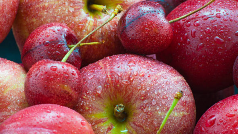 Демонстрация в овощна градина: Интензивно отглеждане на ябълки и череши