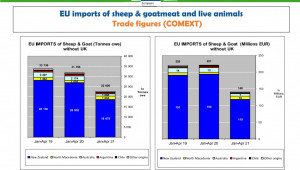 ЕК: България има ръст от над 10% при стадата с кози - Снимка 3