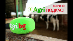 Признание за виртуалните животни и висят ли директни доплащания - слушайте в AgriПодкаст - Agri.bg