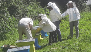Обучават хлапета в неравностойно положение как се вади мед и как се отглежда шафран - Снимка 2