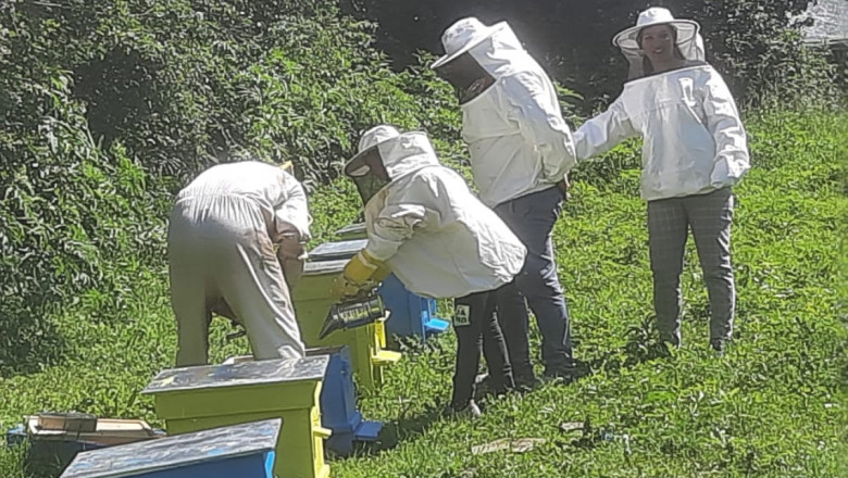 Обучават хлапета в неравностойно положение как се вади мед и как се отглежда шафран